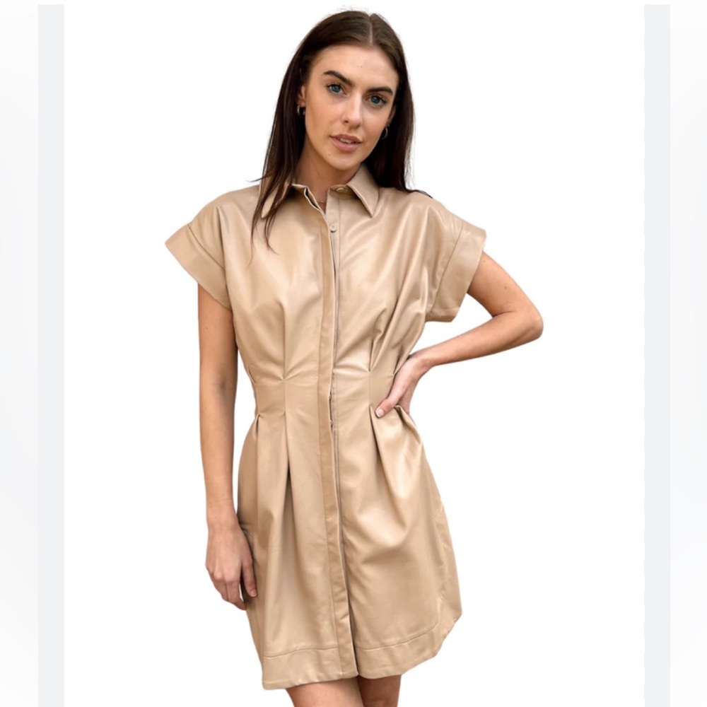 Karina Grimaldi leather dress